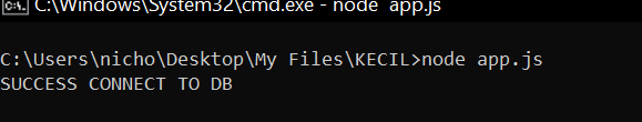 Terminal output reading SUCCESS CONNECT TO DB after running node app.js