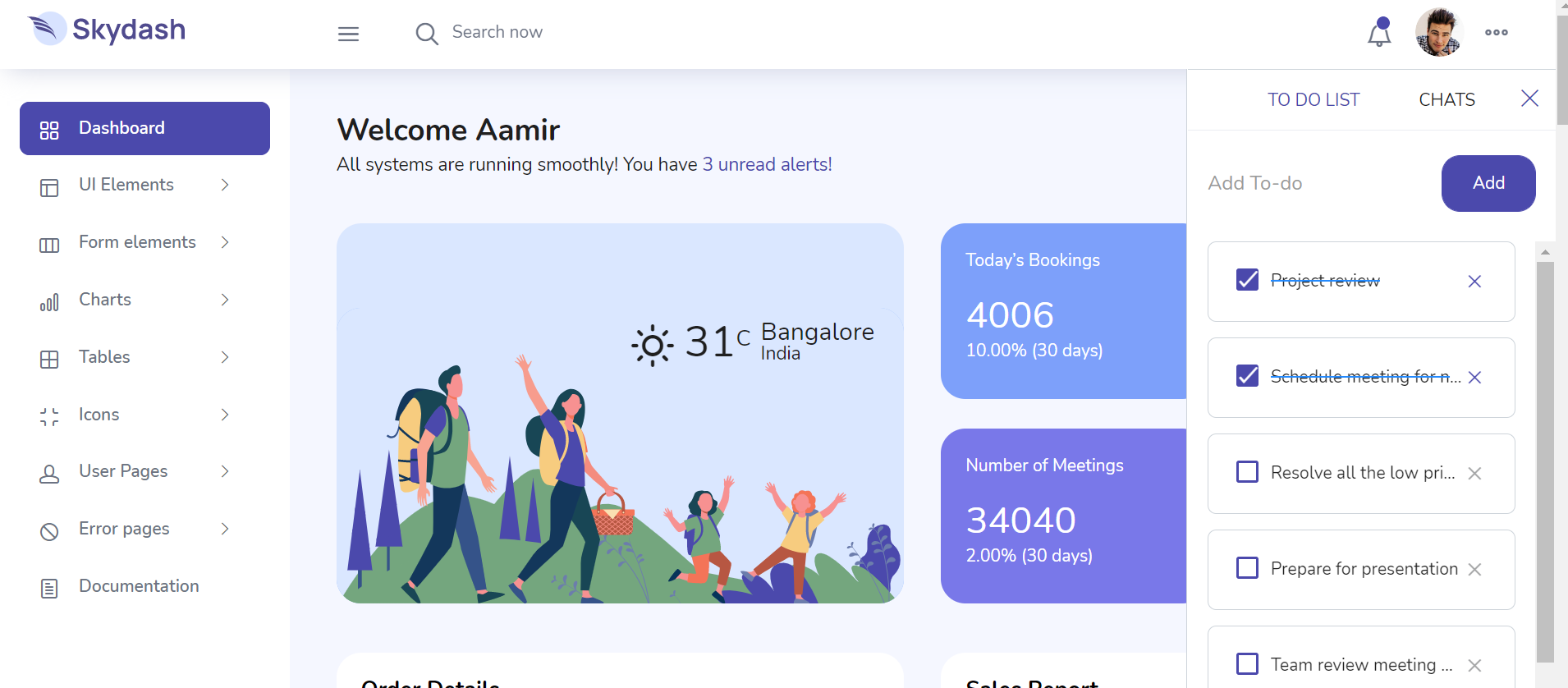 The SkyDash Bootstrap template dashboard before stripping it down