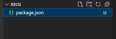 VS Code explorer showing a KECIL folder containing only package.json